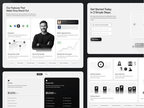 Orca template screenshot 2